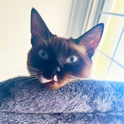 5. Rest Without Guilt